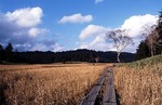 秋の尾瀬autumn oze01.jpg